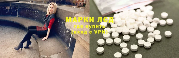 mdpv Каменногорск