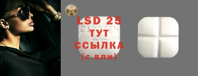 mdpv Каменногорск