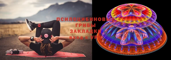 mdpv Каменногорск