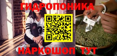 герыч Кингисепп
