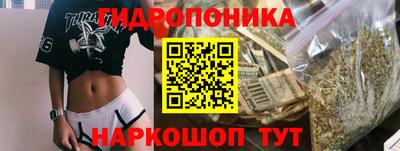 дурь Пугачёв
