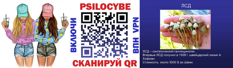 OMG ТОР  закладка  Челябинск  Псилоцибиновые грибы Magic Shrooms 