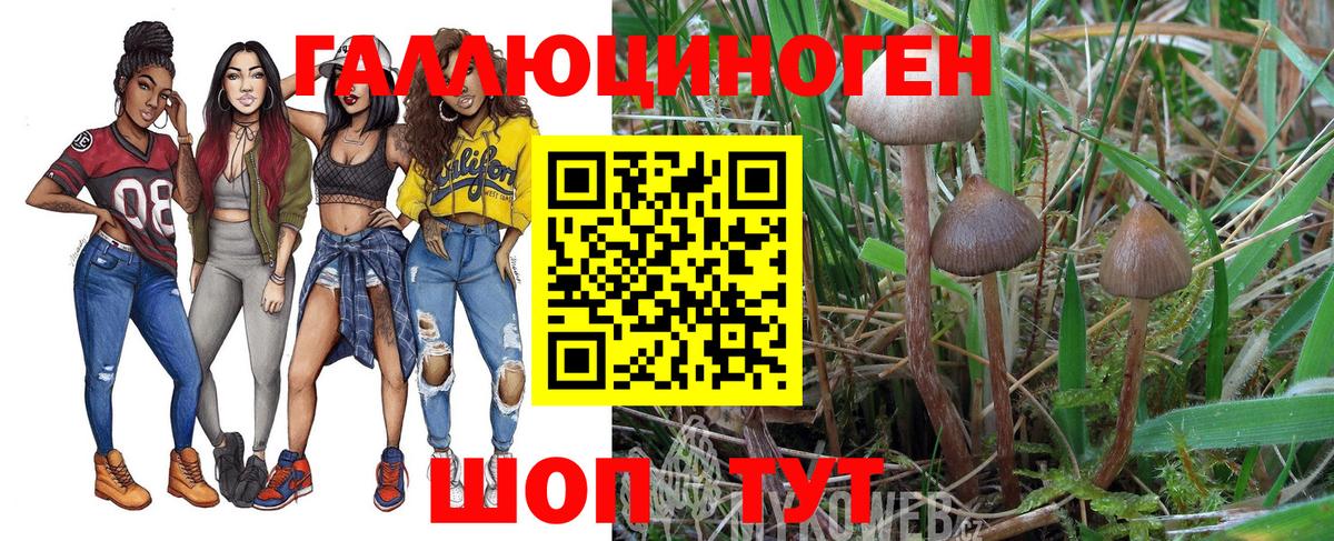 Галлюциногенные грибы Psilocybine cubensis  Псилоцибиновые грибы MAGIC MUSHROOMS  Россия  Вход с VPN 