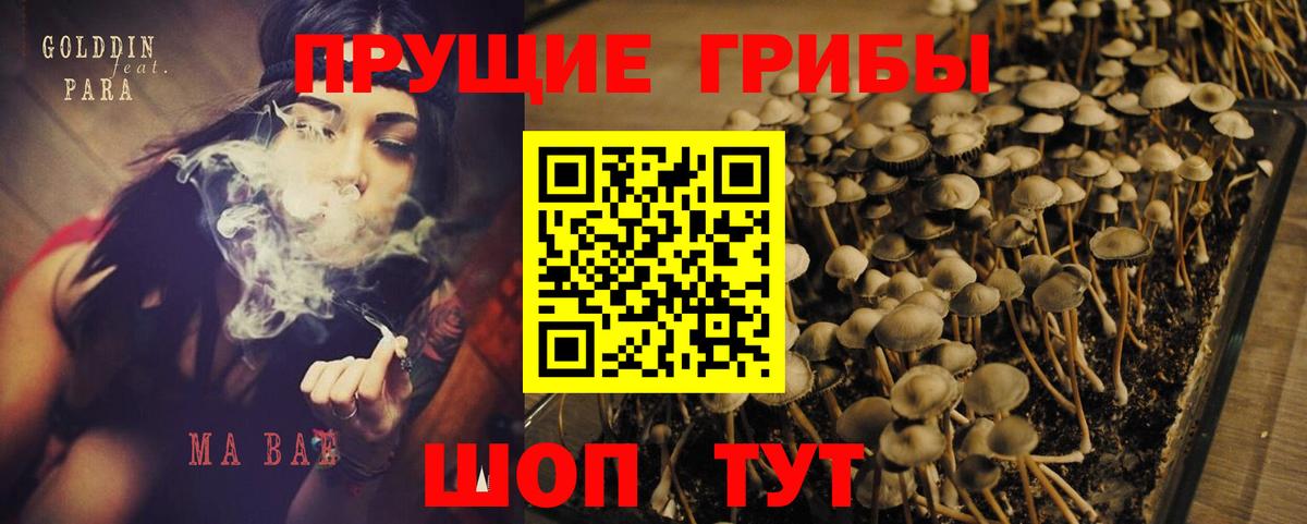 Псилоцибиновые грибы ЛСД Россия