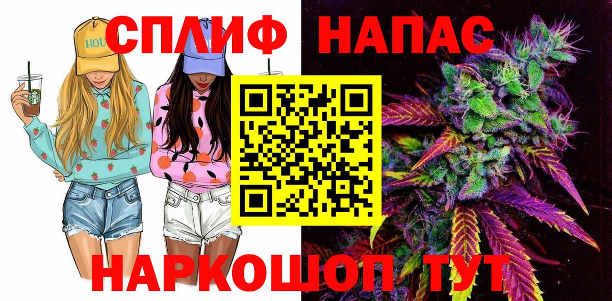 МАРИХУАНА сатива Россия